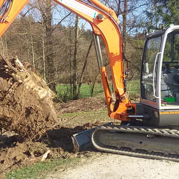 images/bagger_arbeiten/20170330-173038.jpg