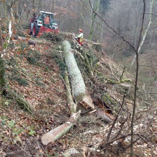 images/lohnarbeiten/img-20161129-wa0014.jpg